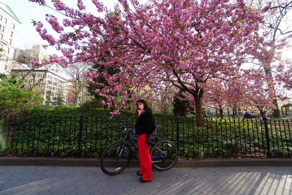 Sharon Genshaft stands in red pants next to her bike outside a NYC park gate with a purple budded tree behind her