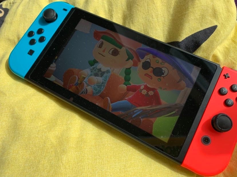 photo of animal crossing video game on a nentendo switch