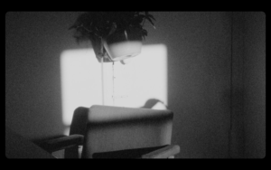 black and white still image from Gonnie Zur's film showing an empty couch and a potted plant hanging above it. A small patch of sunlight shines on part of the couch creating harsh shadows.