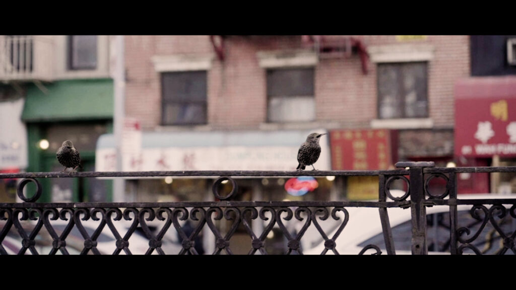 a bird sits on a fence outside of a building in chinatown.