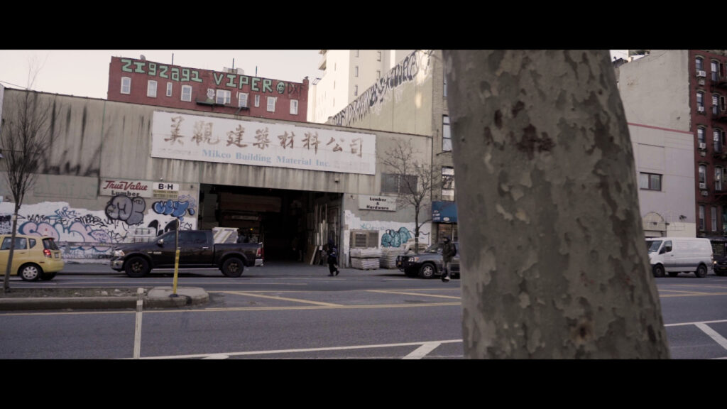 A building in chinatown on a street in new york with a tree in the foreground. 