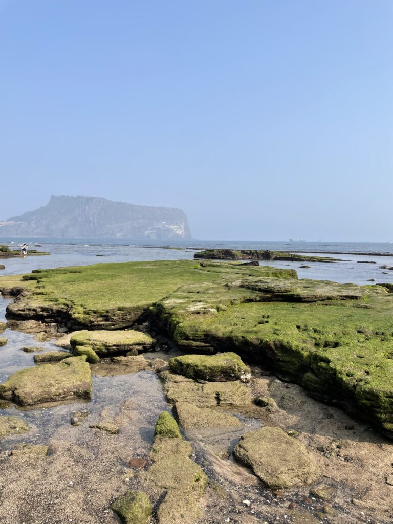 still image from Julies film showing an empty landscape with some greenery along a body of water