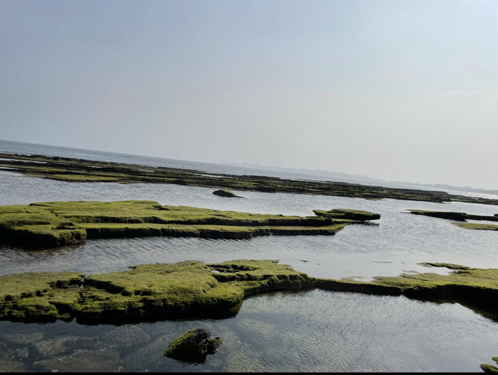 still image from Julies film showing an empty landscape with some greenery along a body of water