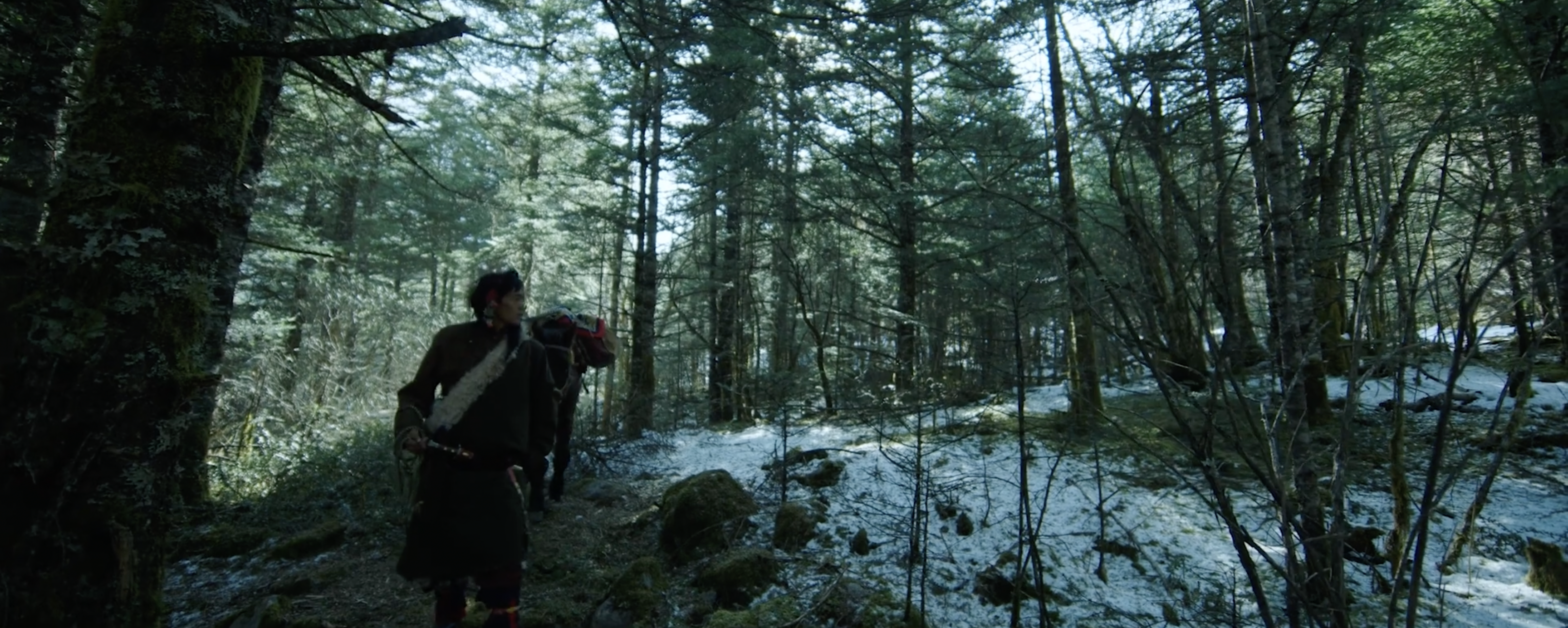 Still from Lamu's film shows a hunter walking in the woods with a horse behind them.
