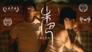 poster for Tulpa that shows to men laying in bed beside eachother with the text and festival screening laurels around them.