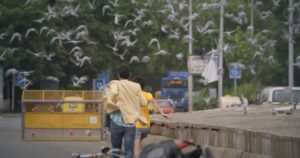 Still Image from Subah showing a boy on a bike riding down a street while a flock of birds take flight.